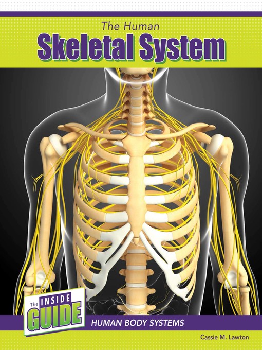 Title details for The Human Skeletal System by Cassie M. Lawton - Available